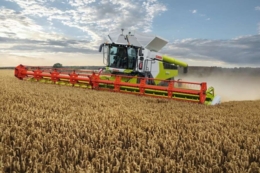 Жнива стартували в KSG Agro на загальній площі понад 7,6 тис. га