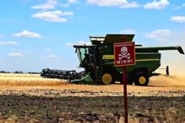 Через заморозки та посуху на Херонщині втрачено або пошкоджено понад 50 тис. га посівів