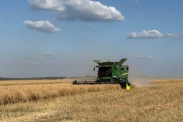 На Львівщині зібрали весь ячмінь і понад половину ріпаку