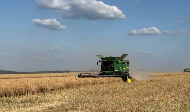 Усі господарства Tekom Agro Group завершили збирання озимого ріпаку: якість урожаю висока
