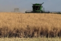 Збір озимого ріпаку завершили в Tekom Agro Group