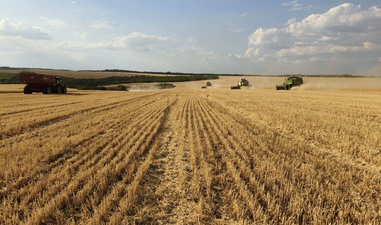 Збирання озимої пшениці стартувало в Tekom Agro Group на півночі Одещини