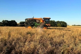 Tekom Agro Group почали обмолот озимого ріпаку на півночі Одещини