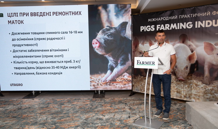Дієві й нестандартні практики управління у свинарстві представлять на форумі «Pigs Farming Industry»