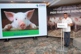 Форум «Pigs Farming Industry» представить свіжі та практичні рішення для ветлікарів свиноферм