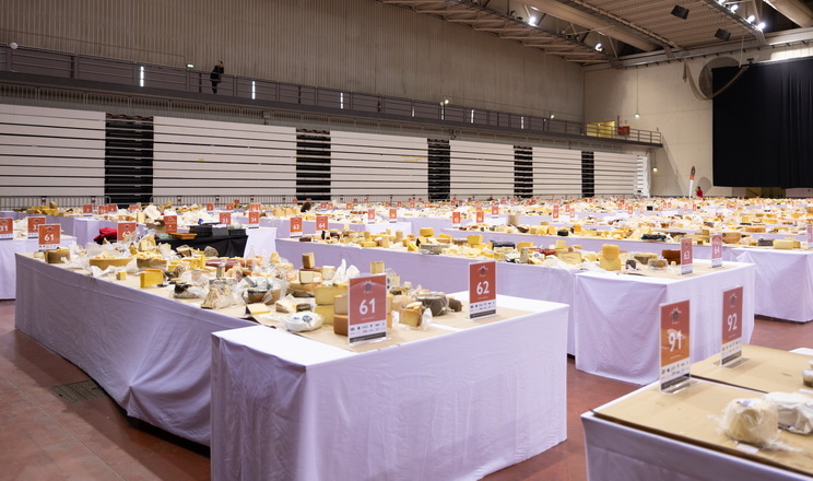 До 1 вересня від сироварів приймають заявки на участь у конкурсі World Cheese Awards 2025