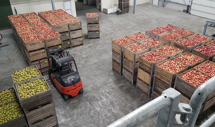 Кількість плодів та місце їх збору у кожному контейнері фіксує комп’ютер