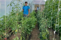 18-річний студент з Буковини відкрив тепличний бізнес завдяки гранту