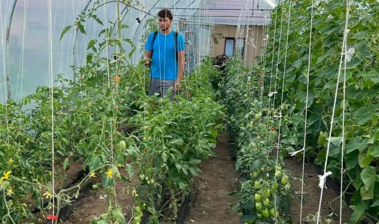 18-річний студент з Буковини відкрив тепличний бізнес завдяки гранту