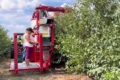На Миколаївщині вишню збирали комбайном