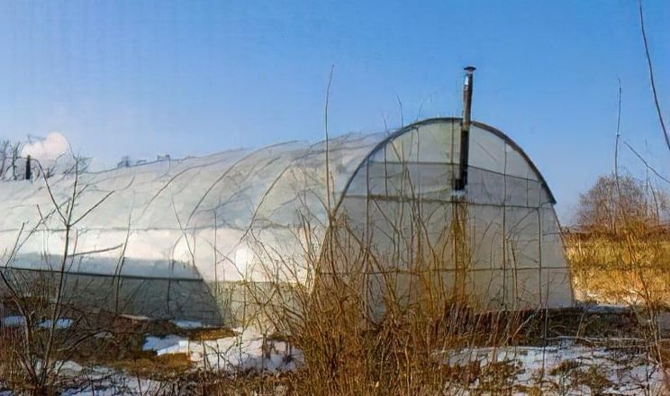Фермери з Сумщини обігрівають теплиці булер’яном