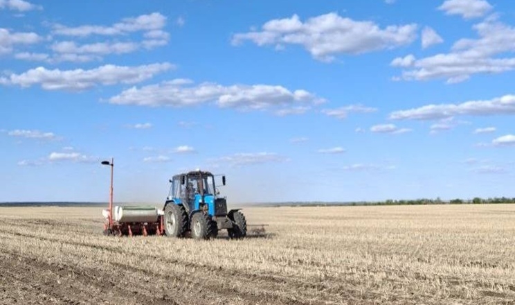 Перші опади за три місяці дали змогу розпочати сівбу озимого ріпаку ще одному підприємству Tekom Agro Group