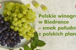 У Biedronka почали продавати польський виноград