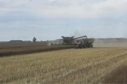 Урожайність озимих в ГК «Агро-Регіон» найвища за останні п'ять років