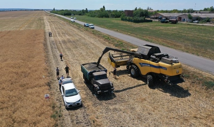 АФ «Ольгопіль» завершила жнива ріпаку: врожайність на рівні минулого року