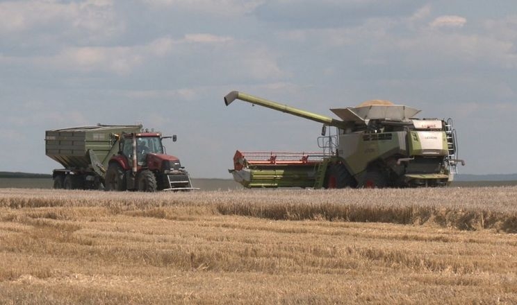 Жнива на Тернопільщині запізнилися через холодну весну та дощі