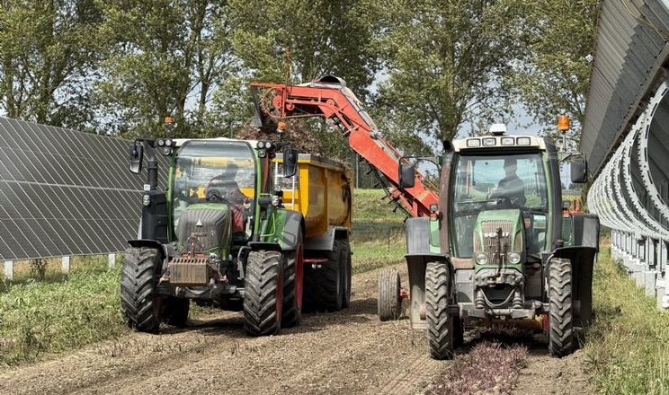 У Нідерландах зібрали перші буряки на сонячному парку