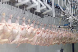 За 9 місяців експорт м'яса птиці зріс на 12,3%