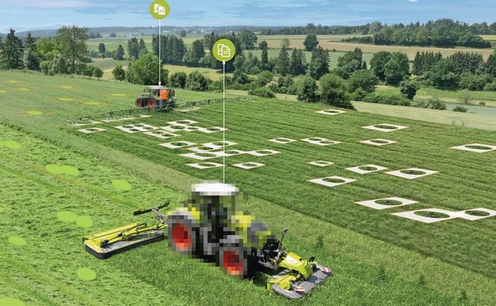 Amazone та Claas розробили Weed Detector для боротьби з щавлем у травостої
