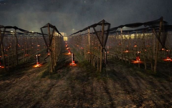 Каміни в саду дешевші та безпечніші для захисту від заморозків за інші методи