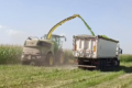 «Епіцентр Агро» планує заготовити 64 тис. тонн кукурудзяного силосу
