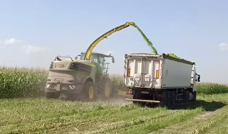 «Епіцентр Агро» планує заготовити 64 тис. тонн кукурудзяного силосу
