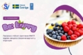 В Україні стартував проєкт RE:Berry для розвитку ягідництва