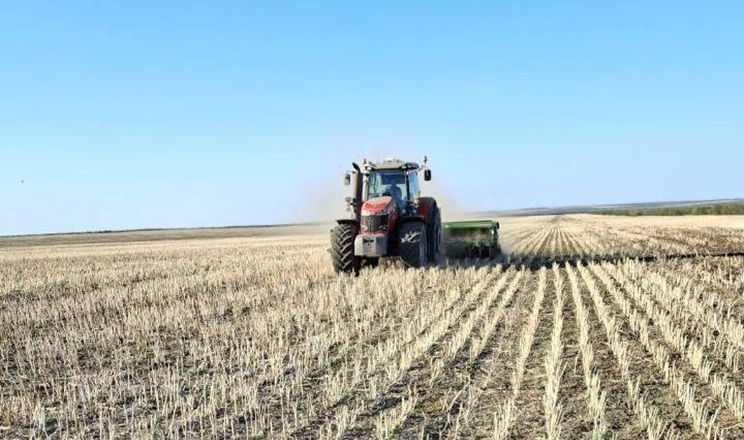 Господарство на Одещині завершило сівбу озимих зернових, попри посуху