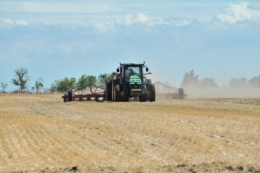 Tekom Agro Group сіє ріпак на півдні Одещини в сухий ґрунт: опадів не було з травня