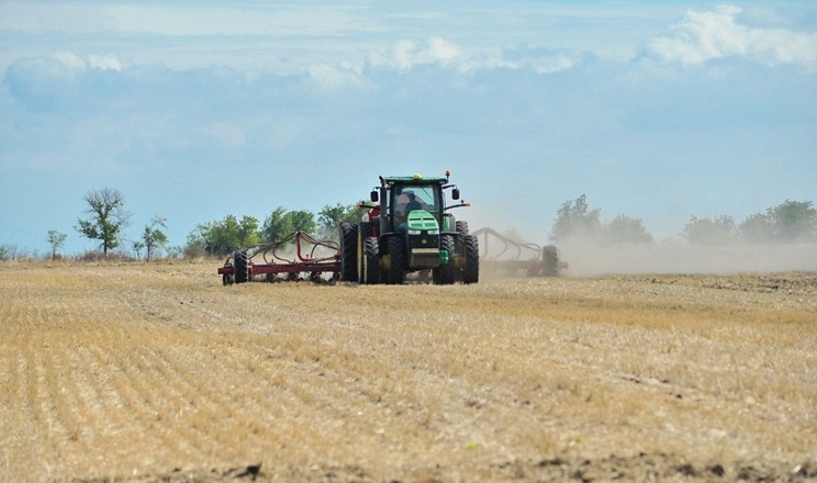 Tekom Agro Group сіє ріпак на півдні Одещини в сухий ґрунт: опадів не було з травня