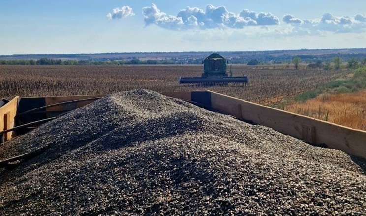 Один з відділків Tekom Agro Group завершив збирання соняшнику: отримали недобір урожаю через посуху