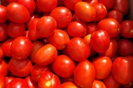 Індійські вчені винайшли сховище, що зберігає помідори свіжими до 60 днів