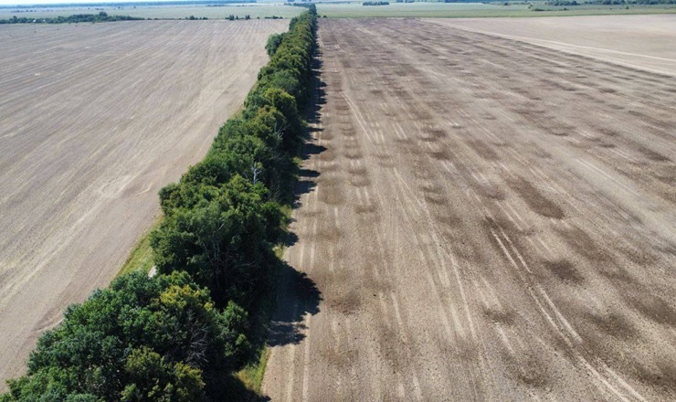 Після внесення органічних добрив потреба у фосфорних та калійних зникає на найближчі 1-2 роки – досвід