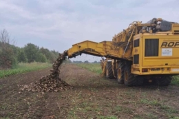 В «Агровіста» розпочали збирання цукрових буряків