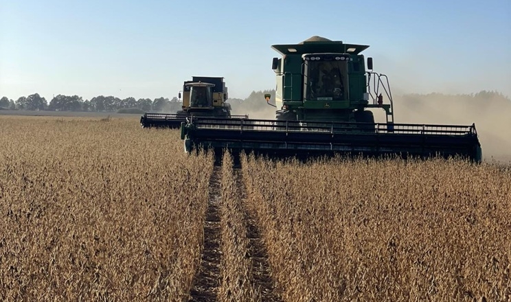 Урожайність соняшнику й сої в Agricom Group – у межах планових показників