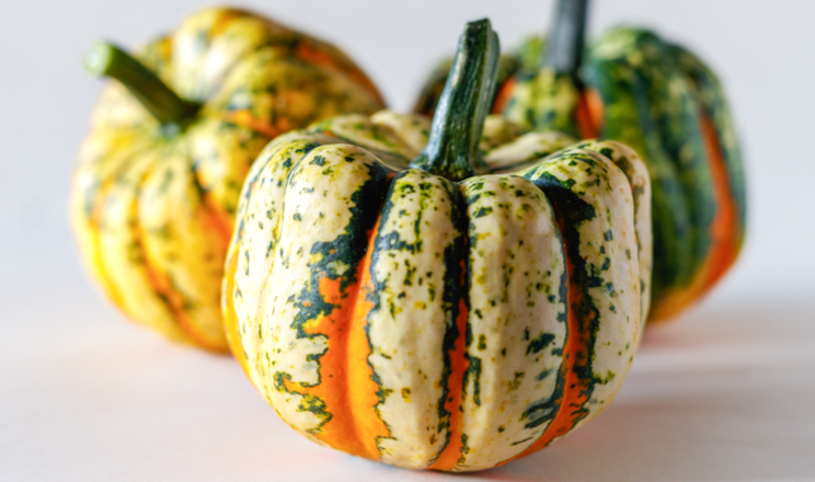 Sakata презентувала їстівний і одночасно декоративний гарбуз Thriller