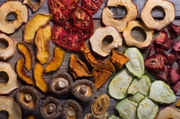 Конотопська фермерка вироблятиме сушені фрукти і овочі