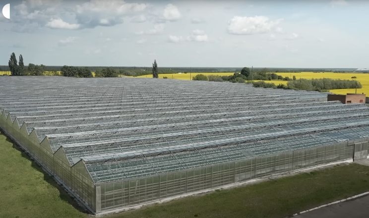 На Рівненщині досі працюють теплиці, збудовані 53 роки тому