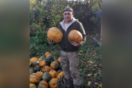 Ветеран з Кіровоградщини відкрив гарбузовий бізнес завдяки гранту