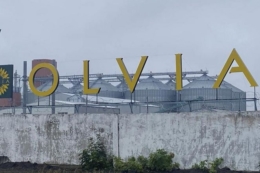 На Миколаївщині відкривають новий олійний завод з прицілом на переробку кукурудзи