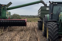 Два господарства Alebor Group зібрали соняшник з урожайністю понад 4 т/га