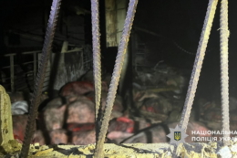 У чернігівському господарстві загинуло близько 1 тис. свиней через атаку БпЛА