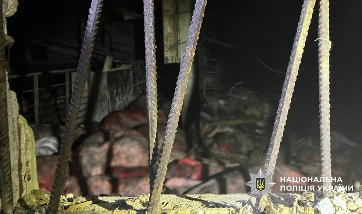 У чернігівському господарстві загинуло близько 1 тис. свиней через атаку БпЛА