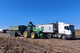 «Агрейн» завершила обмолот соняшнику