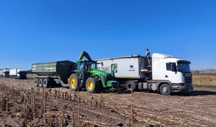 «Агрейн» завершила обмолот соняшнику