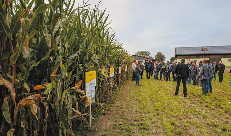 Портфоліо й новинки на старті нового сезону