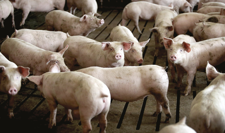 Рухаємося легко