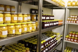 Киргизстан хоче навчитися у Угорщини переробляти більше сільгосппродукції