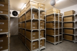 ФАО відкрила Дублетний центр генетичних ресурсів рослин України