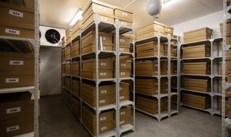 ФАО відкрила Дублетний центр генетичних ресурсів рослин України